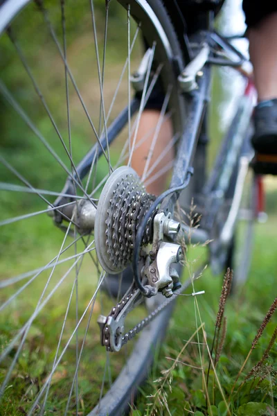 Bicicletta - ruota posteriore della mountain bike di una giovane donna su un green — Foto Stock