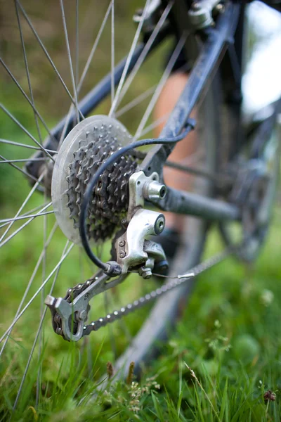 Biking - rear wheel of a young woman's mountain bike on a green — Stock Photo, Image