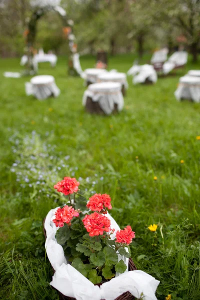 Прекрасное место для проведения свадебной церемонии - цветущий сад на красивом — стоковое фото