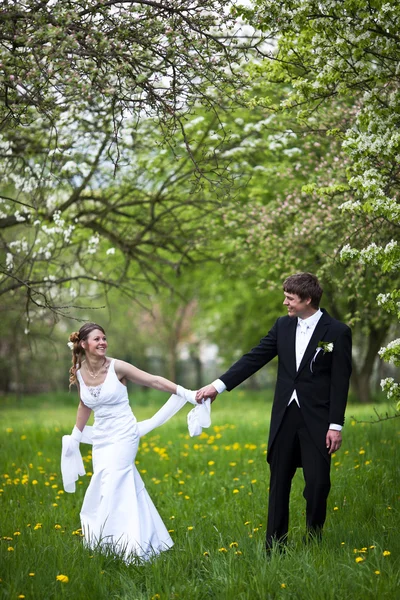 Young wedding couple - freshly wed groom and bride posing outdoo — Stock Photo, Image