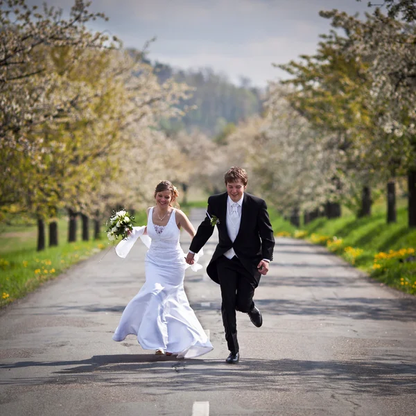 Pareja de boda joven - novio y novia recién casados posando al aire libre —  Fotos de Stock