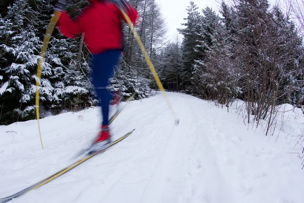 Jovem esqui cross-country em uma trilha de floresta nevada — Fotografia de Stock
