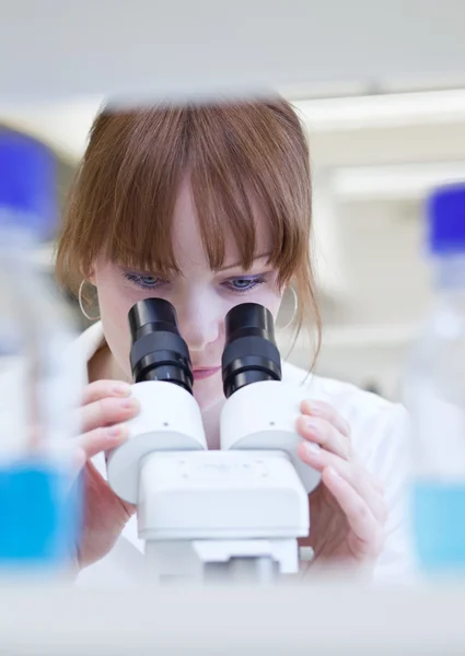 Investigadora bastante femenina usando un microscopio en un laboratorio —  Fotos de Stock