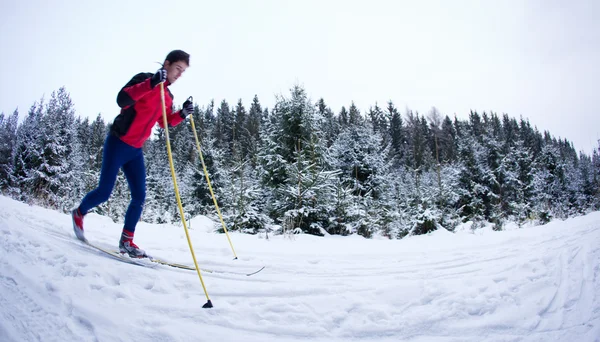 Jovem esqui cross-country em uma trilha de floresta nevada — Fotografia de Stock