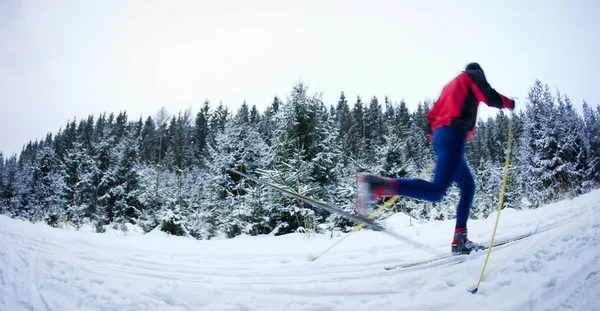 genç adam Kayak snowy orman iz üzerinde