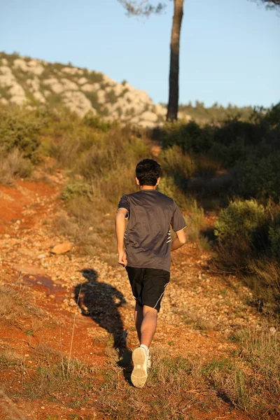 Löpare rör sig genom solbelyst landskap. — Stockfoto