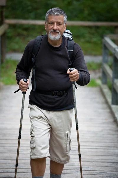 Attivo bell'uomo anziano nordic walking all'aperto — Foto Stock