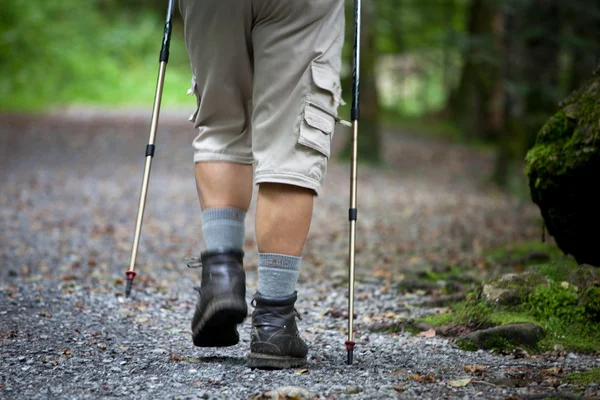 Hombre mayor guapo activo nórdico caminando al aire libre — Foto de Stock