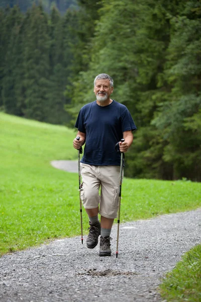 Attivo bell'uomo anziano nordic walking all'aperto — Foto Stock