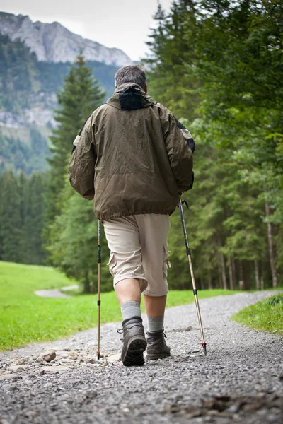 Aktive gut aussehende Senioren beim Nordic Walking im Freien — Stockfoto