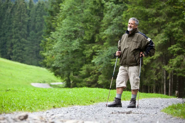 Активний красивий старший чоловік скандинавський вихід на вулицю — стокове фото