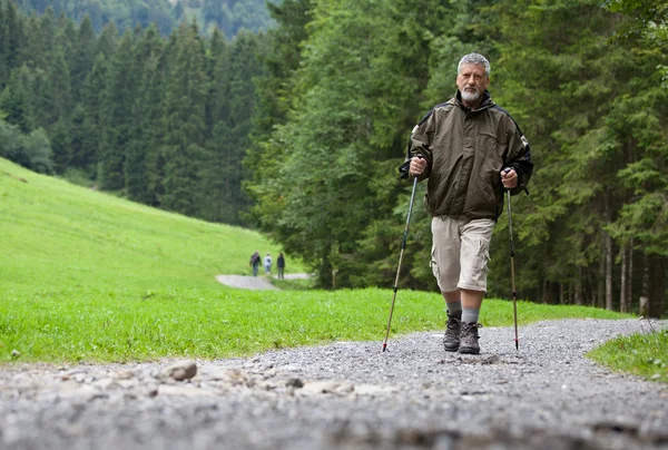 Actif beau senior homme nordique marche à l'extérieur — Photo