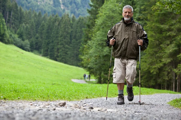 Active handsome senior man nordic walking outdoors — Stock Photo, Image
