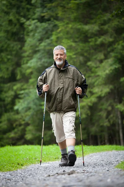 Active handsome senior man nordic walking outdoors — Stock Photo, Image