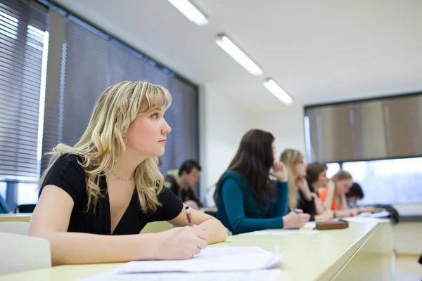 Jonge mooie vrouwelijke college student zitten in een klas — Stockfoto