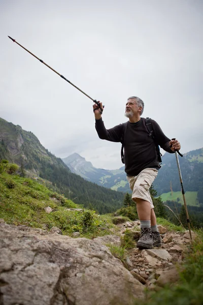Przystojny mężczyzna starszy wskazujące kierunek z laską piesze wycieczki — Zdjęcie stockowe