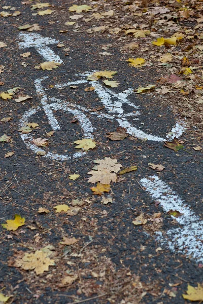 自行车骑自行车车道在一座城市 — 图库照片