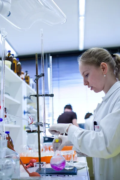 Retrato de uma pesquisadora fazendo pesquisa em um laboratório — Fotografia de Stock