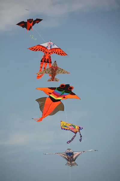 Vários papagaios no céu — Fotografia de Stock