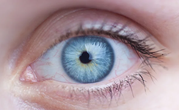 Detailní záběr krásné ženské modré oko — Stock fotografie