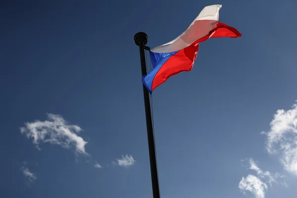 Государственный флаг Чешской республики, размахивающий ветром — стоковое фото