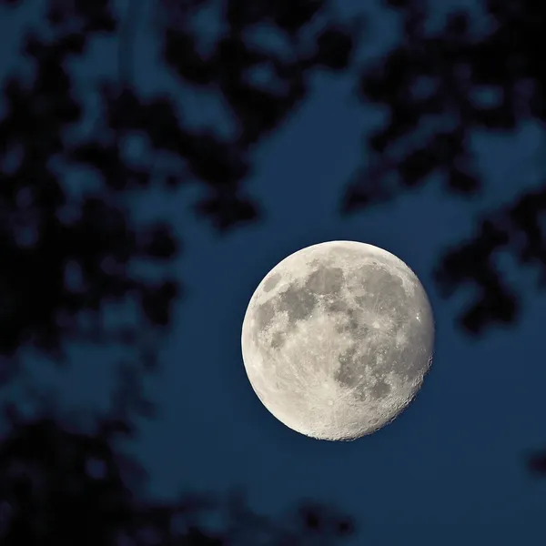 Full moon on the dark night sky — Stock Photo, Image