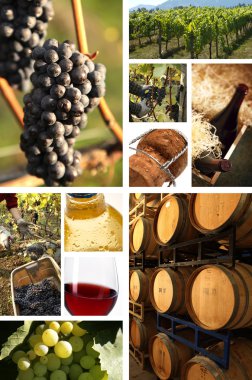 Collage of wine clipart