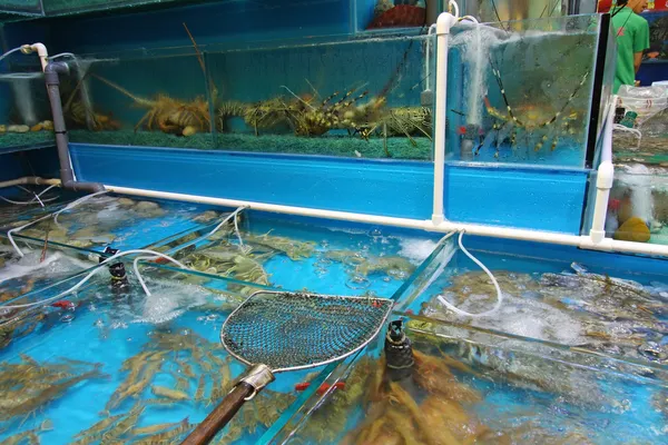 탁고에 있는 해산물 시장 — 스톡 사진