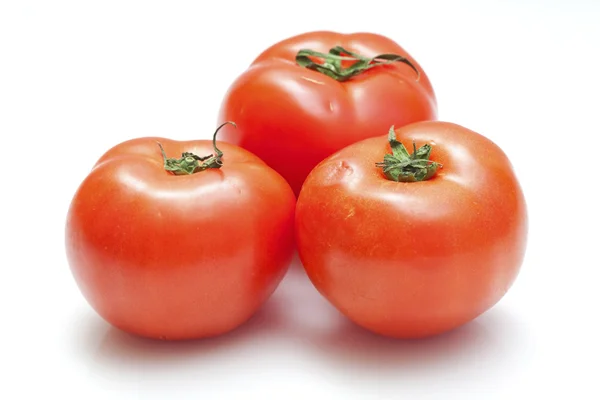 Tomates isolados sobre fundo branco — Fotografia de Stock