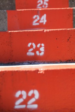 University of Florida Stadium Steps