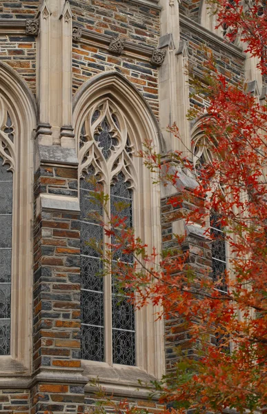 Detalle de ventana de la capilla de la Universidad Duke —  Fotos de Stock