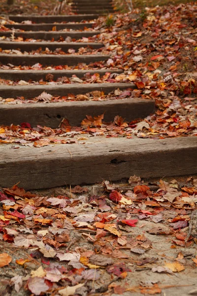 Лестница, покрытая опавшими листьями — стоковое фото
