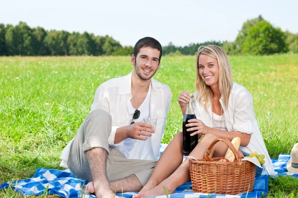 Piknik genç mutlu çift şarapla kutlamak — Stok fotoğraf