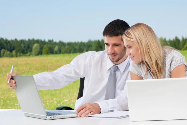 Business colleagues in sunny nature with laptop — Stock Photo, Image