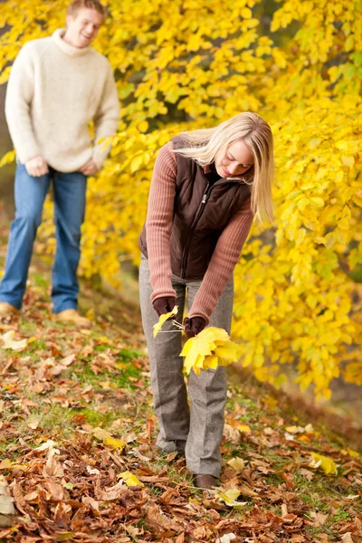 Autumn happy couple picking leaves in park — Stock Photo, Image