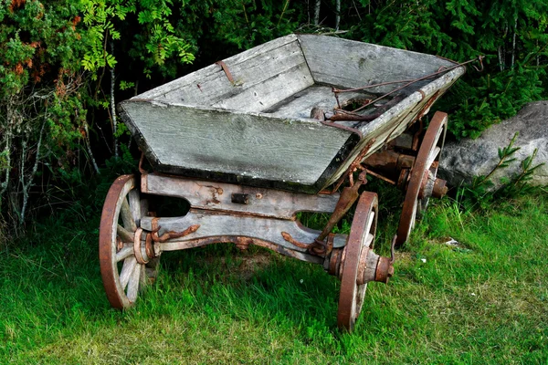 Velho e usado vagão de pé perto de arbustos — Fotografia de Stock