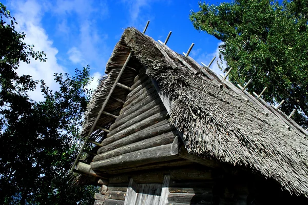 Huis waarvan dak waren maded van riet — Stockfoto