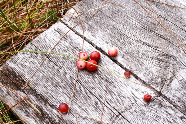 Few red cranberries on whethered wood bench — Stock Photo, Image