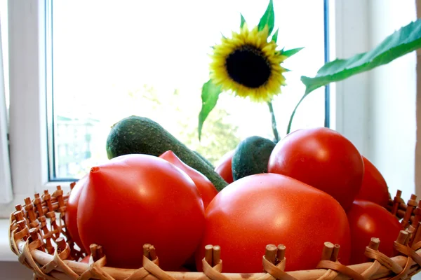 Огурцы, помидоры и подсолнечник — стоковое фото