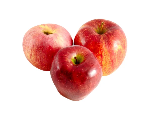 Красный плод яблока — стоковое фото