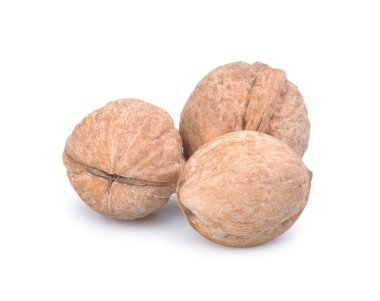 Walnut group isolated