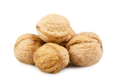 Walnut group isolated