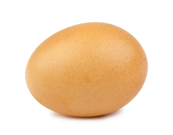 Elszigetelt tojás — Stock Fotó