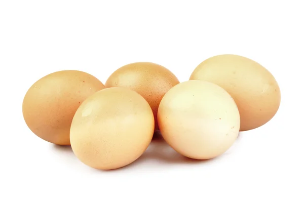 Eieren geïsoleerd — Stockfoto