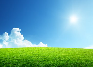 Field of grass and perfect sky clipart