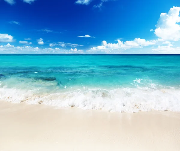 Beach on Catalina island Dominican republic — Stock Photo, Image