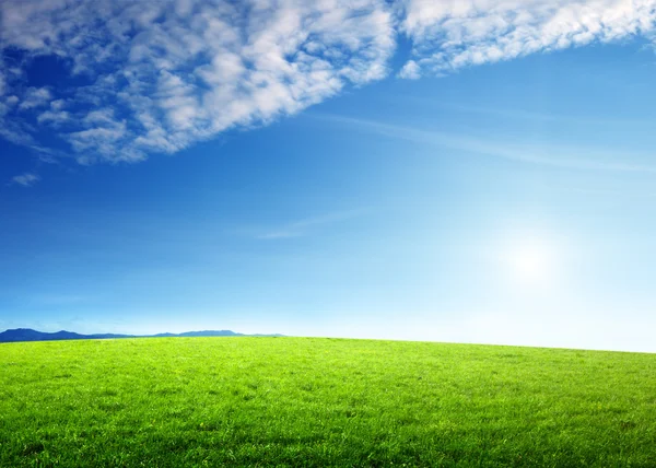 Grasveld en perfecte lucht — Stockfoto