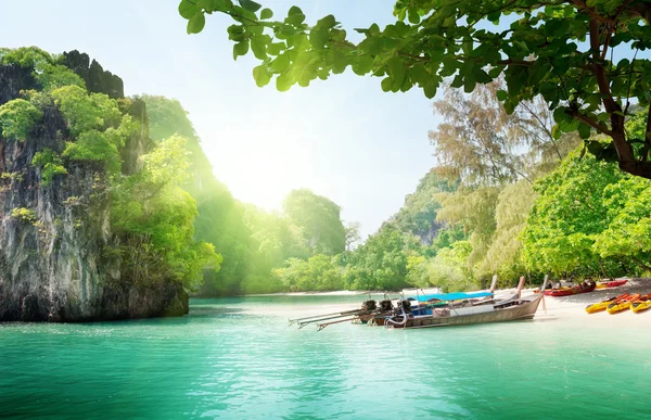 Довгий човни на острові в Таїланді — стокове фото