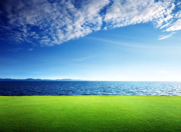 Zelené trávy a Karibské moře — Stock fotografie