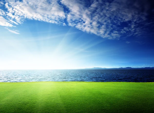 緑の草とカリブ海の海 — ストック写真